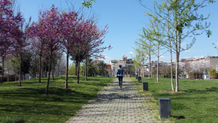 Imatge pels mitjans: Implantació de Zona de Baixes Emissions a la ciutat de Mollet del Vallès.  